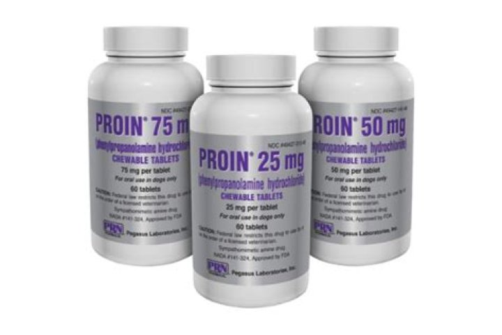 Can proin be used for male dogs?