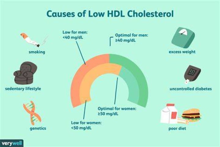 Can your HDL level be too high?