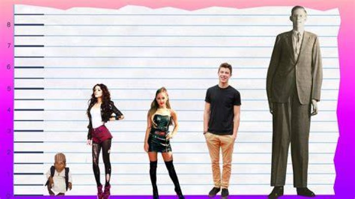 Cher Lloyd Height Body Shape