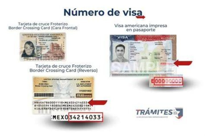 ¿Cuál Es El Número Xiv? – Celebrity
