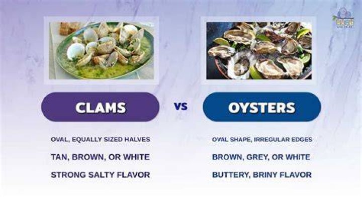 Do oysters and clams taste the same?