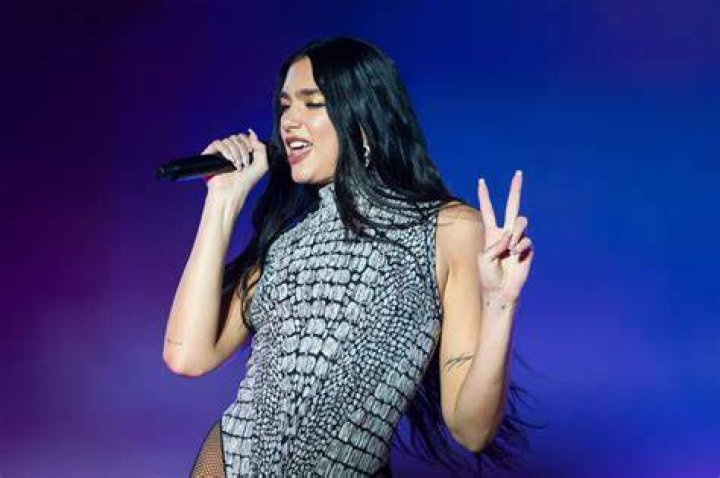 Dua Lipa in Bathing Suit is Feeling "Caaaaaaalm" — Celebwell