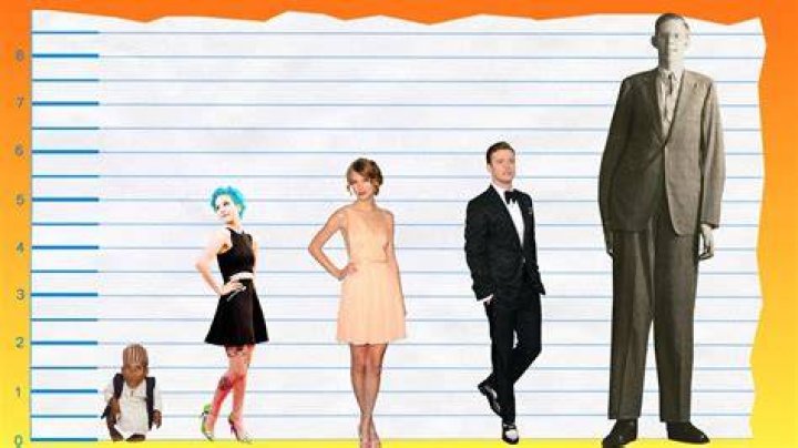 Hayley Williams – Height, Weight, Bra Size, Measurements & Bio