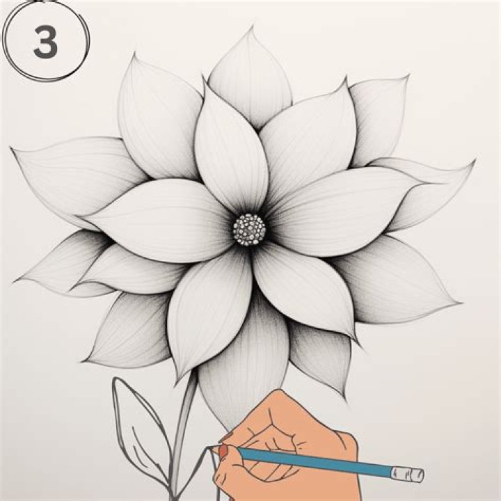 How do you draw a nice flower?