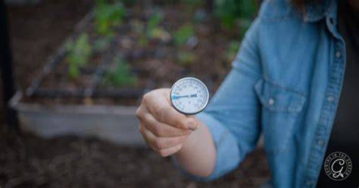 How do you measure the temperature of soil?