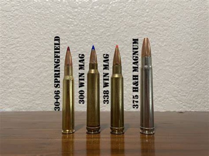 How fast is a 338 win mag?