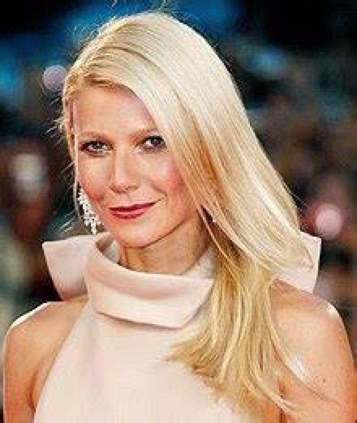 
How Much Money Does Gwyneth Paltrow Make? Latest Income Salary
