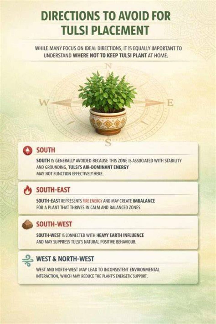 In which direction Tulsi plant should be kept?