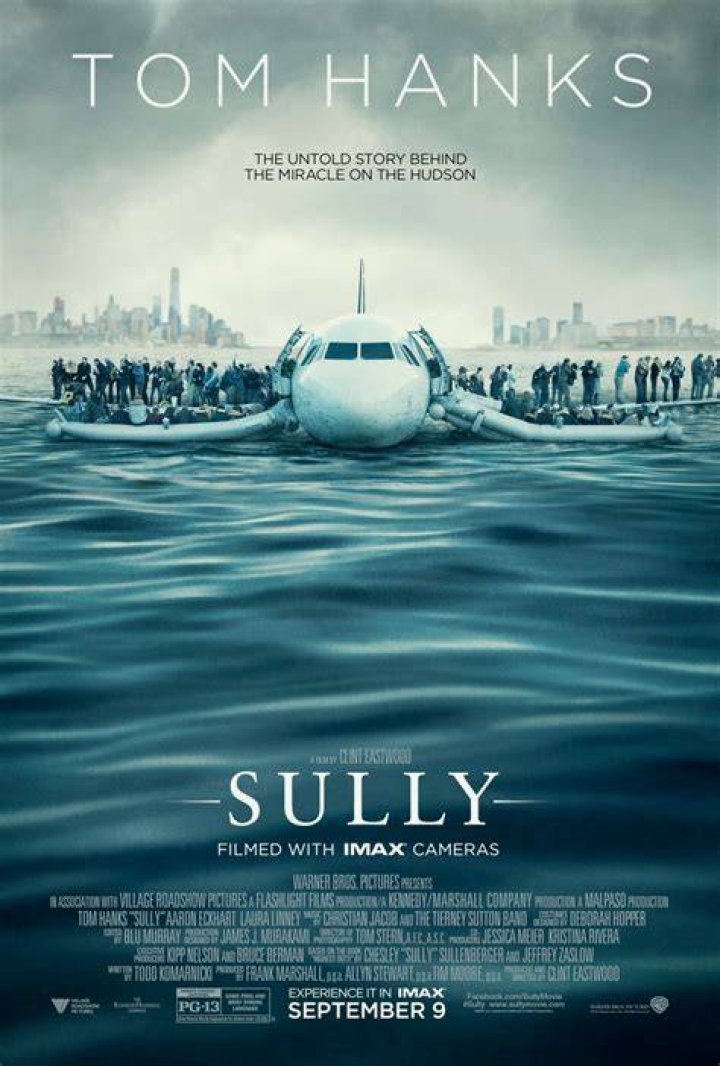 Is Sully in the movie Brave?
