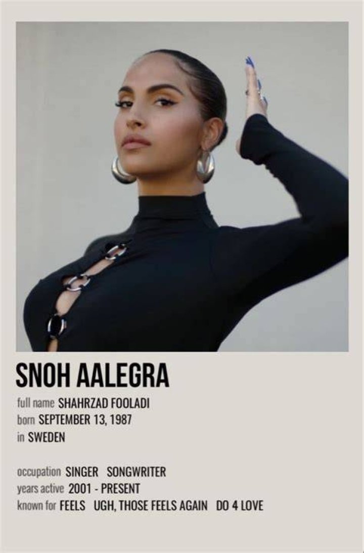 Snoh Aalegra Net Worth & Earnings (2024)