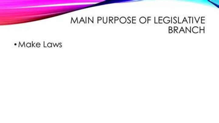 What is the main purpose of the legislative branch?