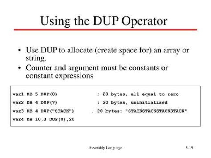 What is the meaning of DUP in assembly language?