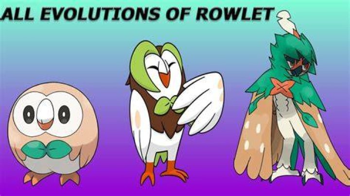What Level Does Rowlet Evolve Arceus? – Celebrity