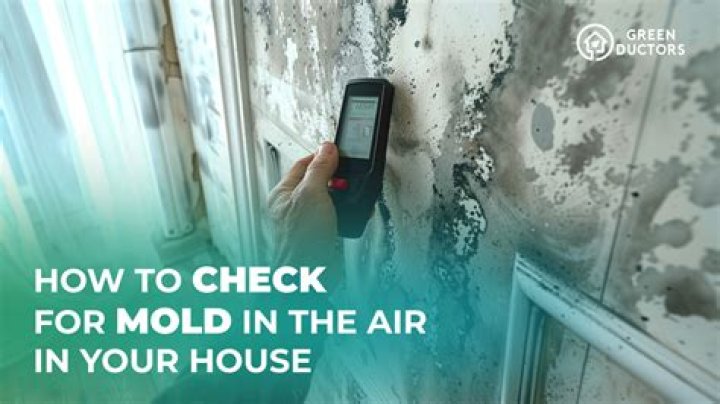 What to do if there is mold in your rental?