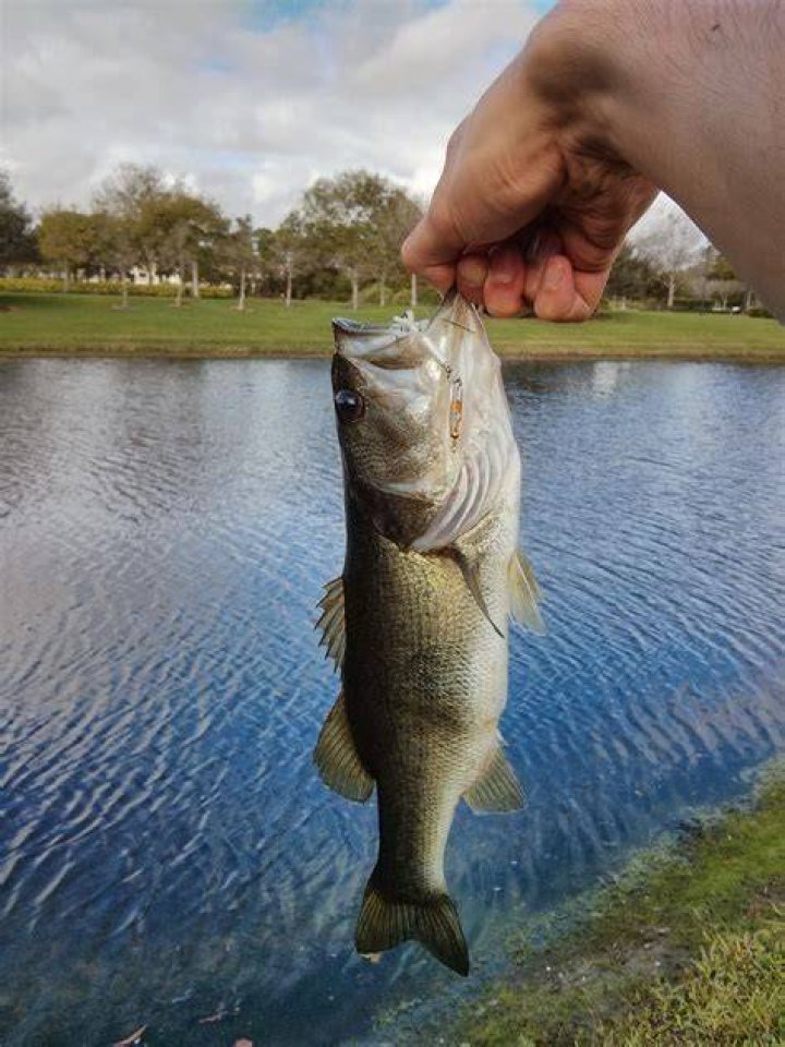 What to do with a fish after you catch it?