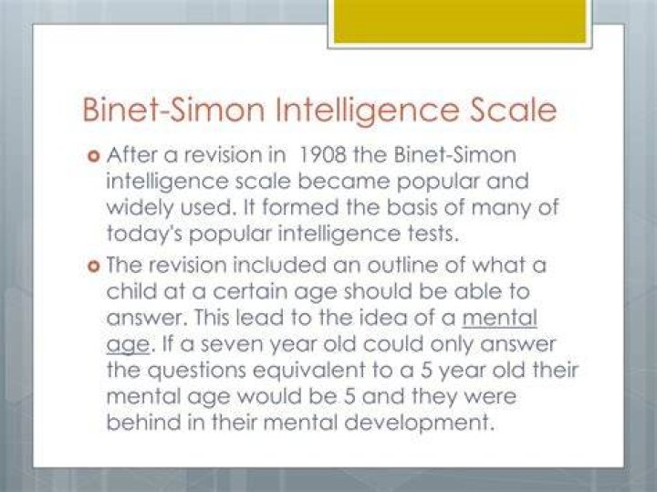 What was the purpose of the Binet Simon scale?