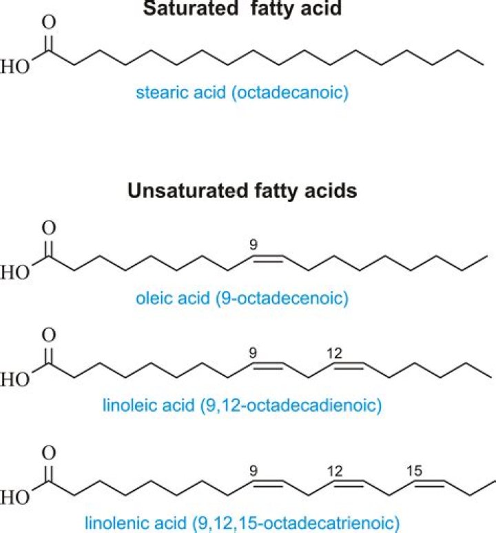 Which is a saturated fatty acid?