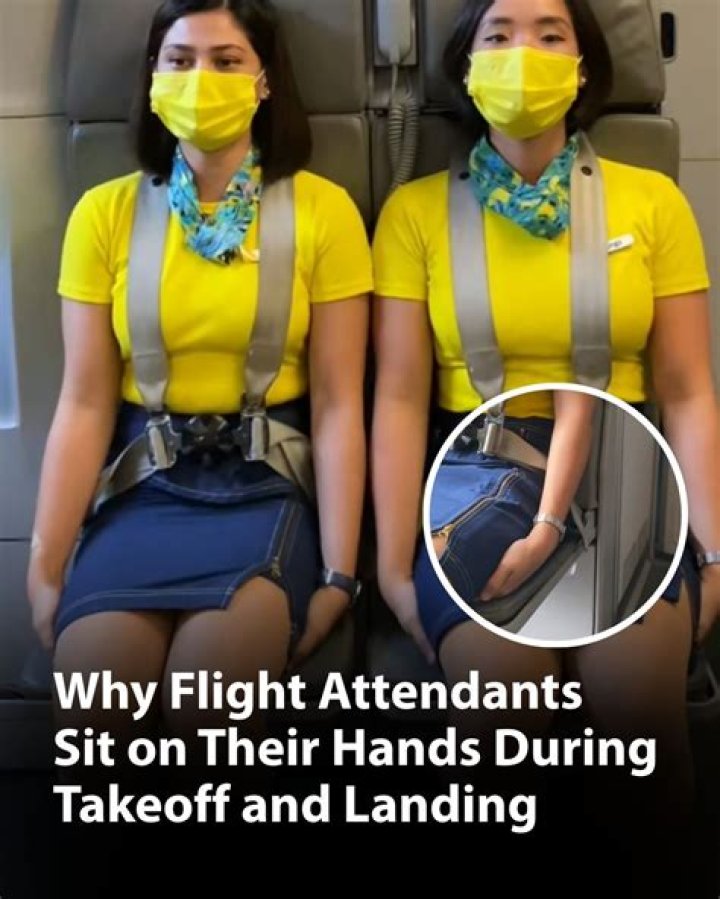 Why Do Flight Attendants Sit On Their Hands? – Celebrity